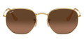 Arista / Brown Gradient Gray