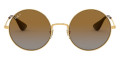 Gold / Light Gray Gradient Brown Polarized