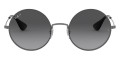 Gunmetal / Polarized Gray Gradient