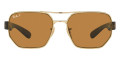 Arista / Dark Brown Polarized
