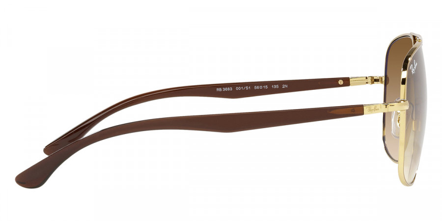 Ray-Ban™ - RB3683