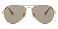 Arista / Evolve Photochromic Brown To Gray