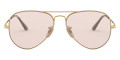 Arista / Evolve Photochromic Pink To Violet