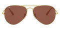 Arista / Purple Polarized