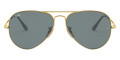 Arista / Blue Polarized 9064S2