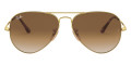 Arista / Clear Gradient Brown