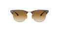 Havana On Arista / Clear Gradient Brown