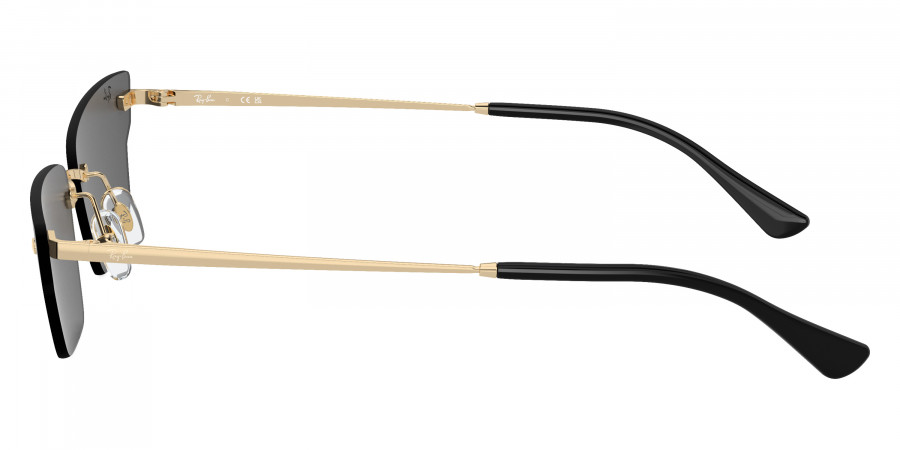 Ray-Ban™ - Anh RB3731