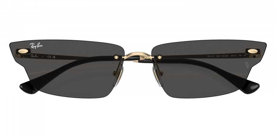 Ray-Ban™ - Anh RB3731