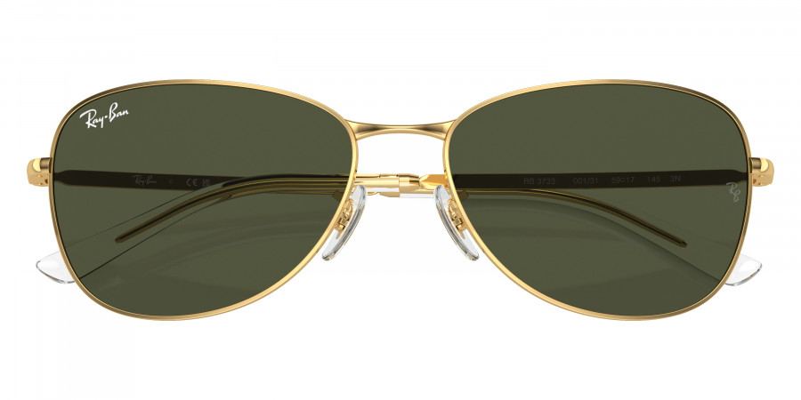 Ray-Ban™ - RB3733