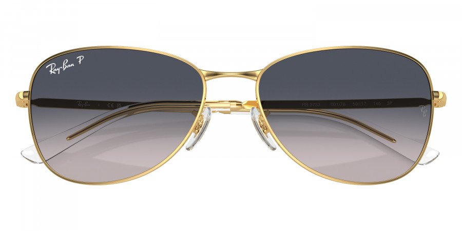 Ray-Ban™ - RB3733