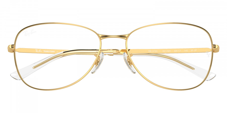 Ray-Ban™ - RB3733