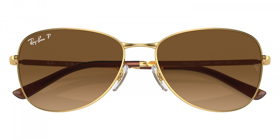 Ray-Ban™ - RB3733