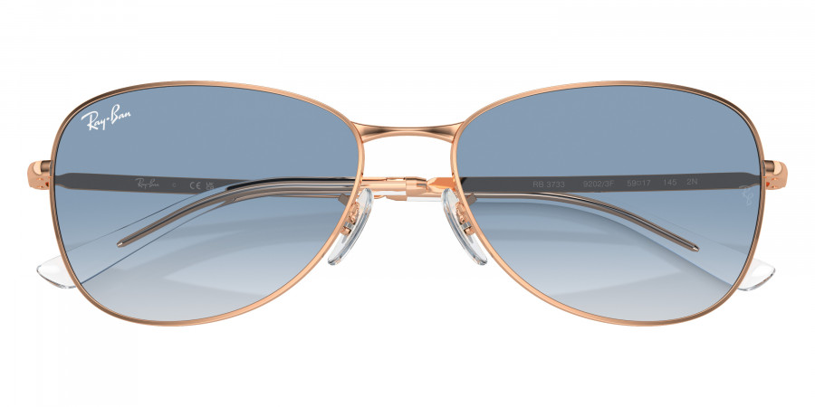 Ray-Ban™ - RB3733