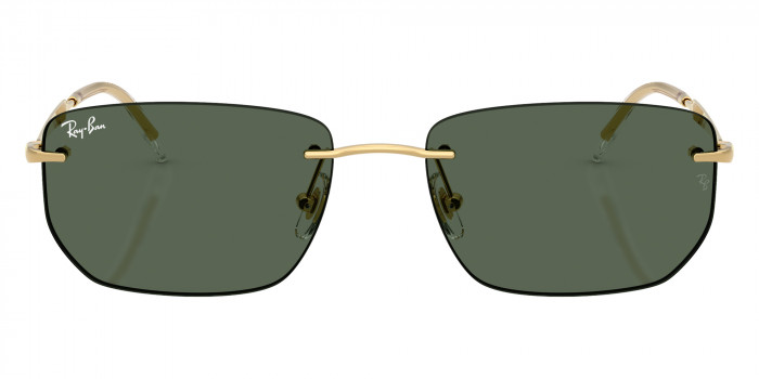 Ray-Ban™ - RB3768