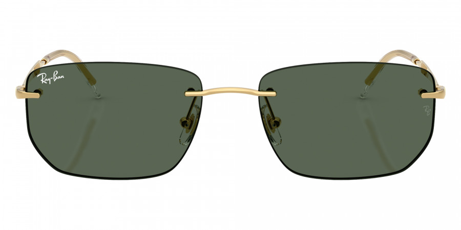 Ray-Ban™ - RB3768