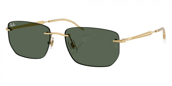 Ray-Ban™ - RB3768
