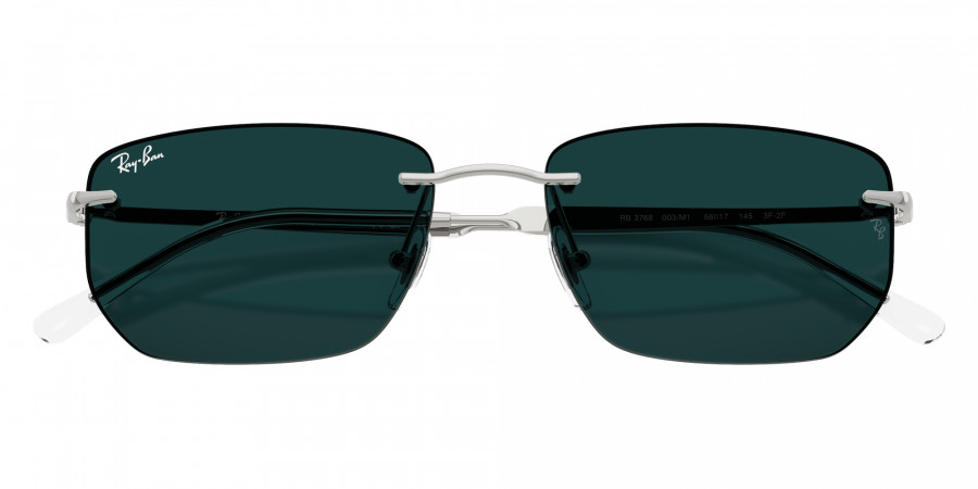 Ray-Ban™ - RB3768