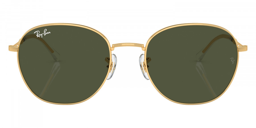 Ray-Ban™ - RB3809