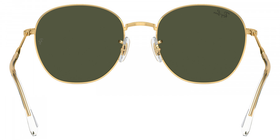 Ray-Ban™ - RB3809