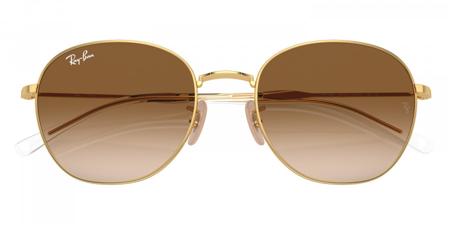 Ray-Ban™ - RB3809