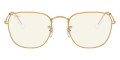 Legend Gold / Photochromic Gray / Blue Light Filter