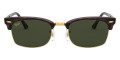 Mock Tortoise / Green