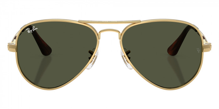 Ray-Ban™ - RB3925 Aviator Max