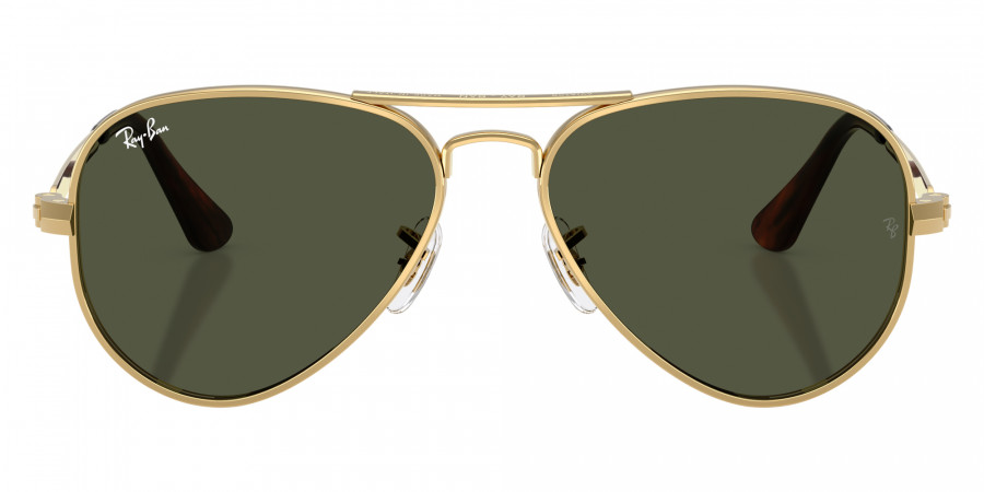Ray-Ban™ - RB3925 Aviator Max