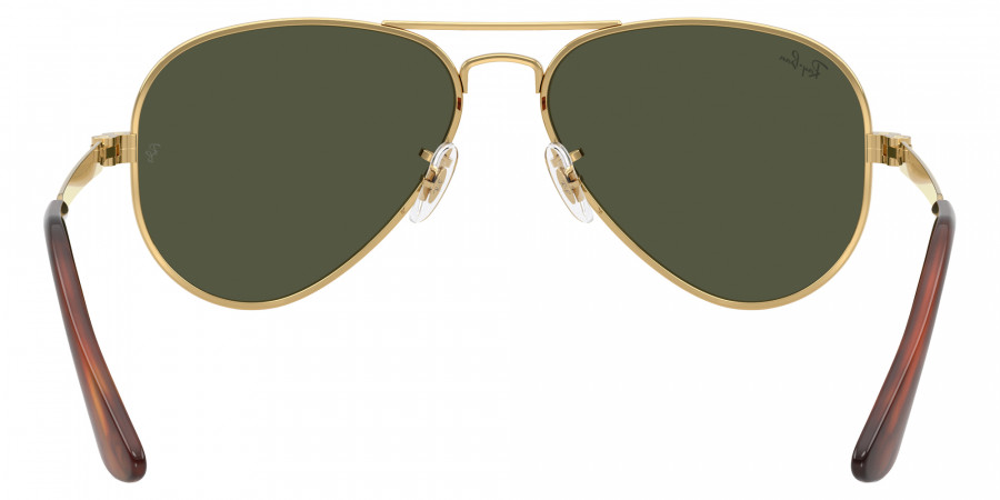 Ray-Ban™ - RB3925 Aviator Max