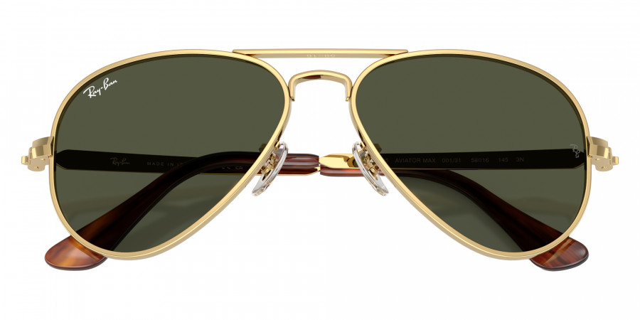 Ray-Ban™ - RB3925 Aviator Max