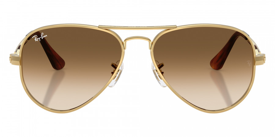 Ray-Ban™ - RB3925 Aviator Max