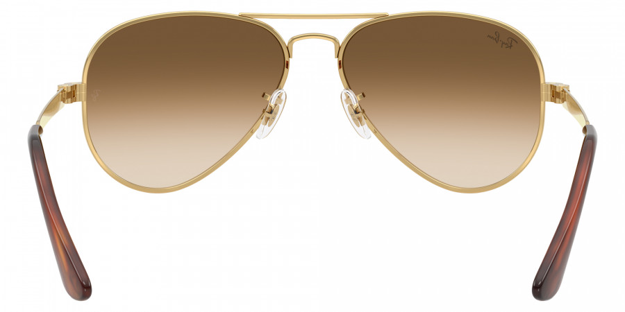 Ray-Ban™ - RB3925 Aviator Max