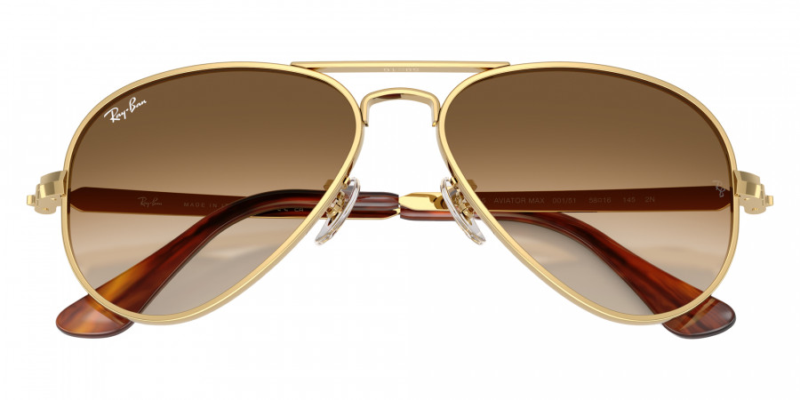 Ray-Ban™ - RB3925 Aviator Max