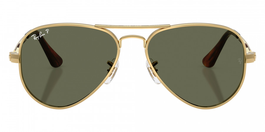 Ray-Ban™ - RB3925 Aviator Max
