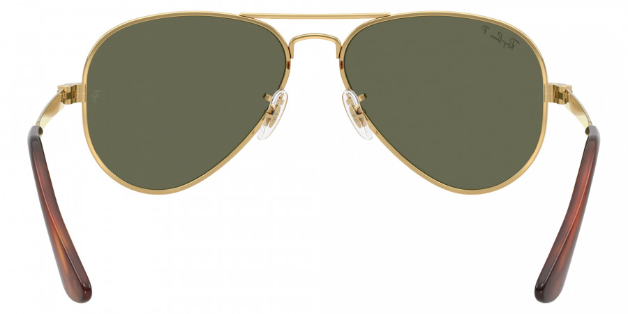 Ray-Ban™ - RB3925 Aviator Max