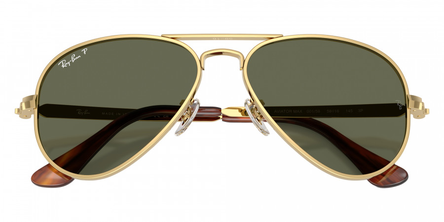 Ray-Ban™ - RB3925 Aviator Max