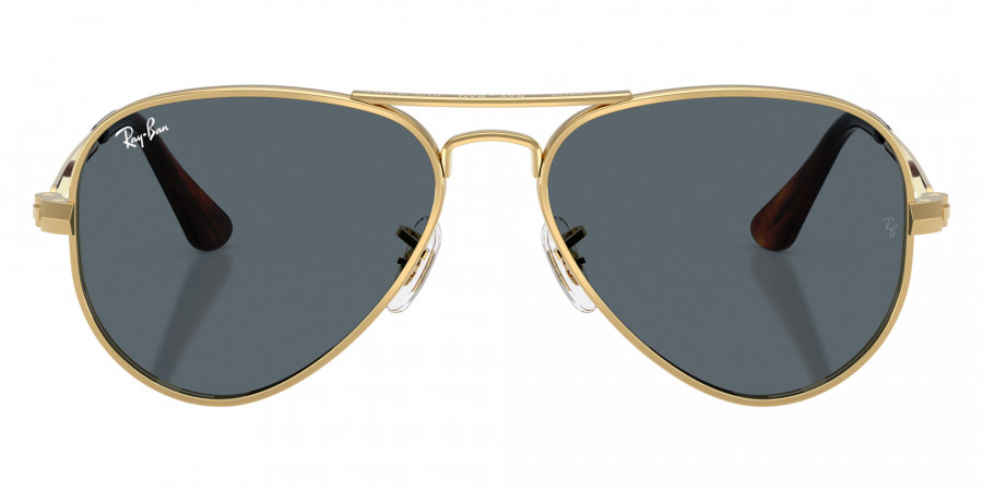 Ray-Ban™ - RB3925 Aviator Max