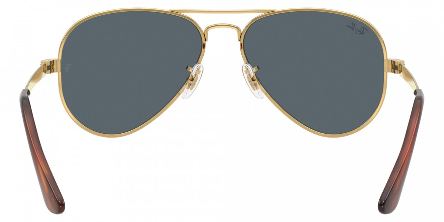 Ray-Ban™ - RB3925 Aviator Max