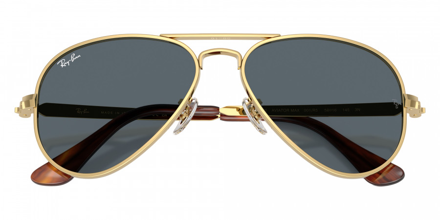 Ray-Ban™ - RB3925 Aviator Max