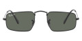 Black / Polarized Green