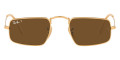 Legend Gold / Polarized Brown