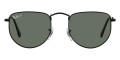 Black / Polarized Green