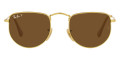 Legend Gold / Polarized Brown