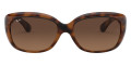 Havana / Light Brown Gradient Black
