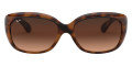 Havana / Pink Gradient Brown
