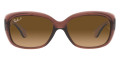 Transparent Dark Brown / Brown Gradient Polarized