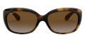 Light Havana / Light Gray Gradient Brown