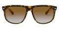 Light Havana / Clear Gradient Brown