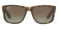 Matte Gray Havana